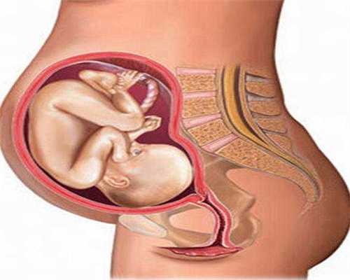 试管移植28天有胎芽无胎心正常吗怎么办