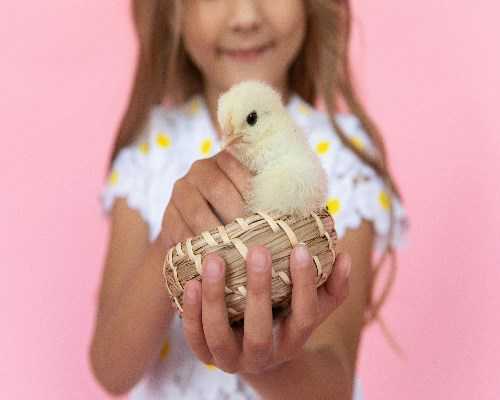 杭州有没有代怀，杭州怎么做供卵,浙江有哪些**的试管婴儿医院！浙江有做试管